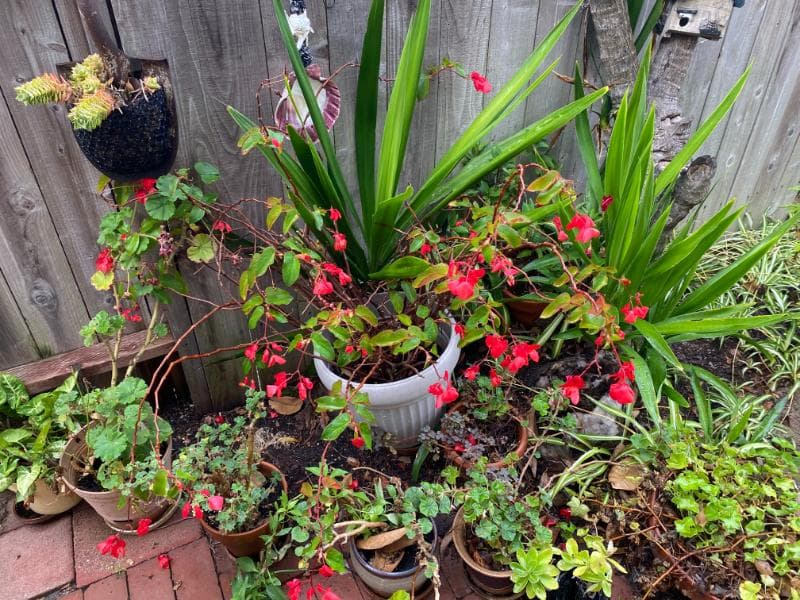 ** Grasons Beach Cities 2 Day Seal Beach Estate Sale ** hero image